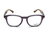 Оправа Ray-Ban RB 5352 5629 50 мм.