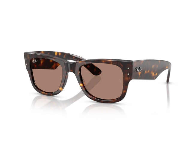 Сонцезахисні окуляри Ray-Ban Mega Wayfarer RB 0840-S 902/1A 51 мм. TINTED BROWN. Фото 2