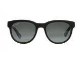 Сонцезахисні окуляри MAUI JIM MJ0668-02 52 мм TINTED GREY POLAR