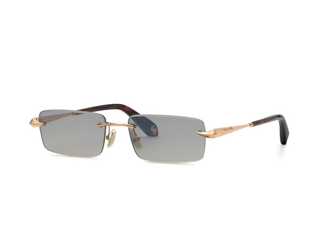 Сонцезахисні окуляри Roberto Cavalli SRC206 8FCX 55 TINTED GREY