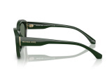 Сонцезахисні окуляри MICHAEL KORS MK2209U 40063H 54 мм TINTED GREEN. Фото 3
