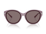 Сонцезахисні окуляри MICHAEL KORS MK2229D 40057N 59мм TINTED BROWN  