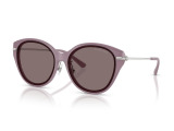 Сонцезахисні окуляри MICHAEL KORS MK2229D 40057N 59мм TINTED BROWN  . Фото 2