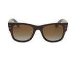 Сонцезахисні окуляри Ray-Ban RB 4840-S 6124/T5 52мм GRADIENT BROWN POLAR