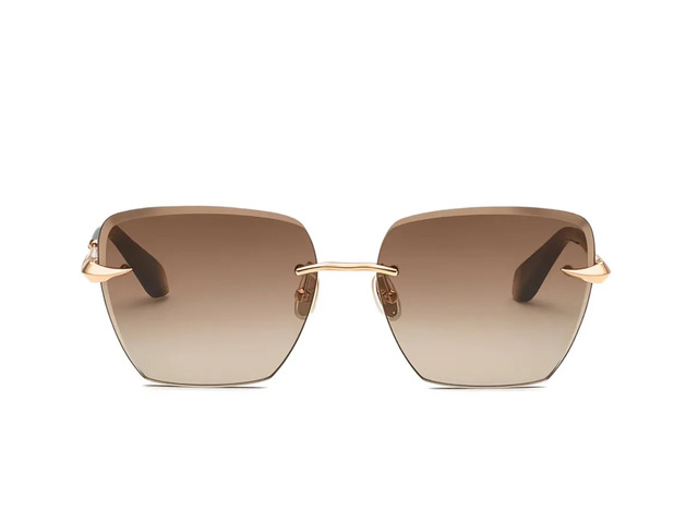 Сонцезахисні окуляри Roberto Cavalli SRC151 08FC 61 мм GRADIENT BROWN