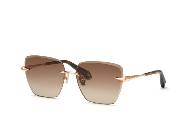 Сонцезахисні окуляри Roberto Cavalli SRC151 08FC 61 мм GRADIENT BROWN. Фото 2