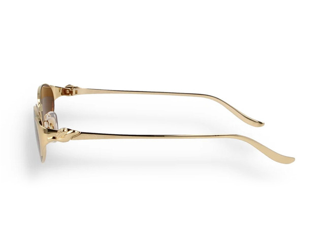 Сонцезахисні окуляри CARTIER CT0630S 002 Cat.3 53 мм TINTED BROWN. Фото 3