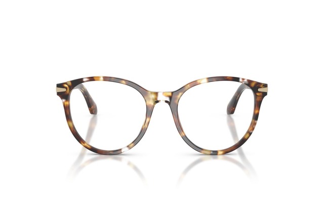 Оправа GIORGIO ARMANI AR 7279 6232 50 мм.