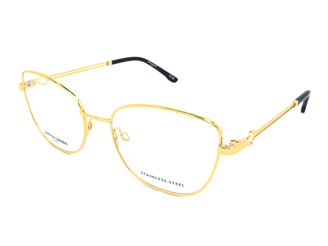 Оправа PIERRE CARDIN P.C.8883 J5G 54 мм.. Фото 2