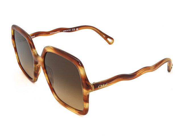 Сонцезахисні окуляри CHLOE CH0086S 002 58 мм. GRADIENT BROWN. Фото 2