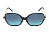 Сонцезахисні окуляри TIFFANY & CO TF 4191 8001/9S 57 мм GRADIENT BLUE