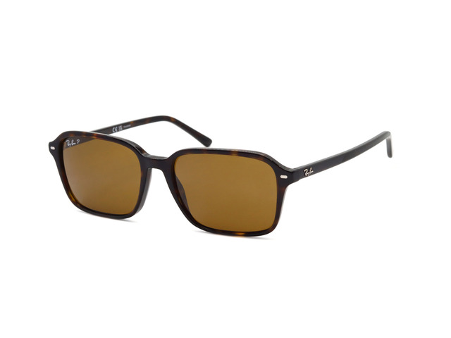 Сонцезахисні окуляри Ray-Ban RAIMOND RB 2231 902/57 56 мм TINTED BROWN POLAR. Фото 2