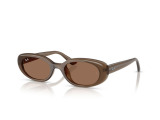 Сонцезахисні окуляри Ray-Ban RB 4441D 677973 53 мм TINTED BROWN. Фото 2