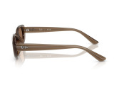 Сонцезахисні окуляри Ray-Ban RB 4441D 677973 53 мм TINTED BROWN. Фото 3