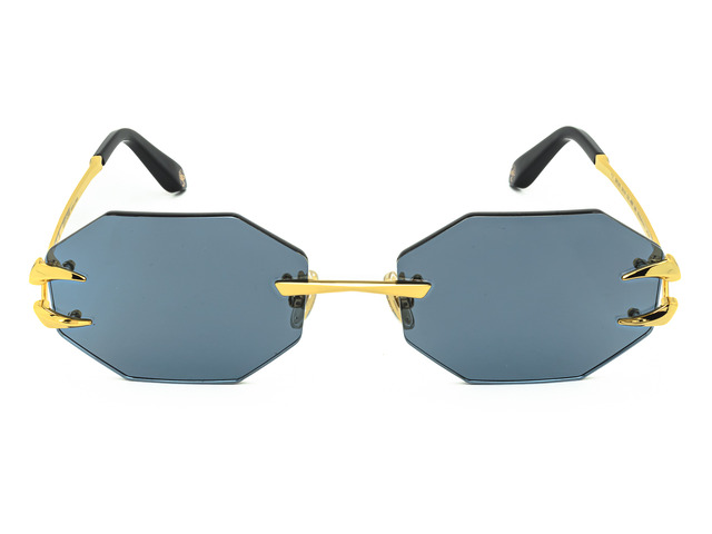Сонцезахисні окуляри Roberto Cavalli SRC005 400F 59мм PHOTOCHROMIC BLUE. Фото 5