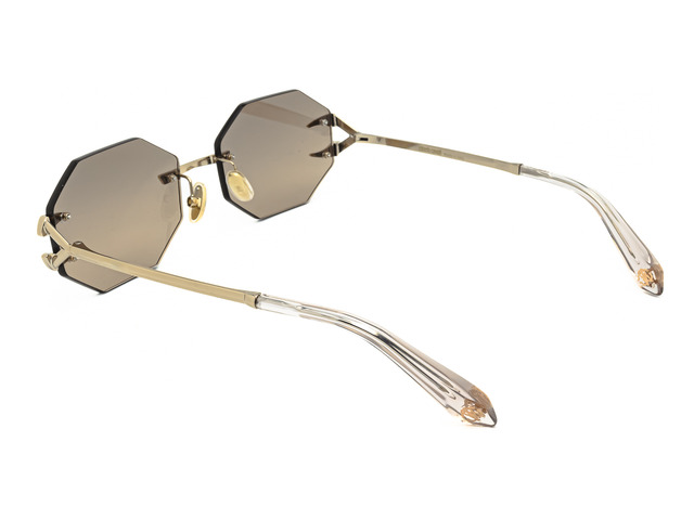 Сонцезахисні окуляри Roberto Cavalli SRC005 594G 59 мм. MIRROR GOLD. Фото 4