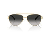 Сонцезахисні окуляри Tiffany & Co TF 3101-B6021/3C 59 мм GRADIENT GREY