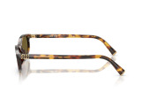 Сонцезахисні окуляри MiuMiu SMU A06 14L-09Z 54 мм TINTED BROWN. Фото 3