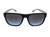 Сонцезахисні окуляри EMPORIO ARMANI EA 4163 5875/8G 56 мм. GRADIENT GREY